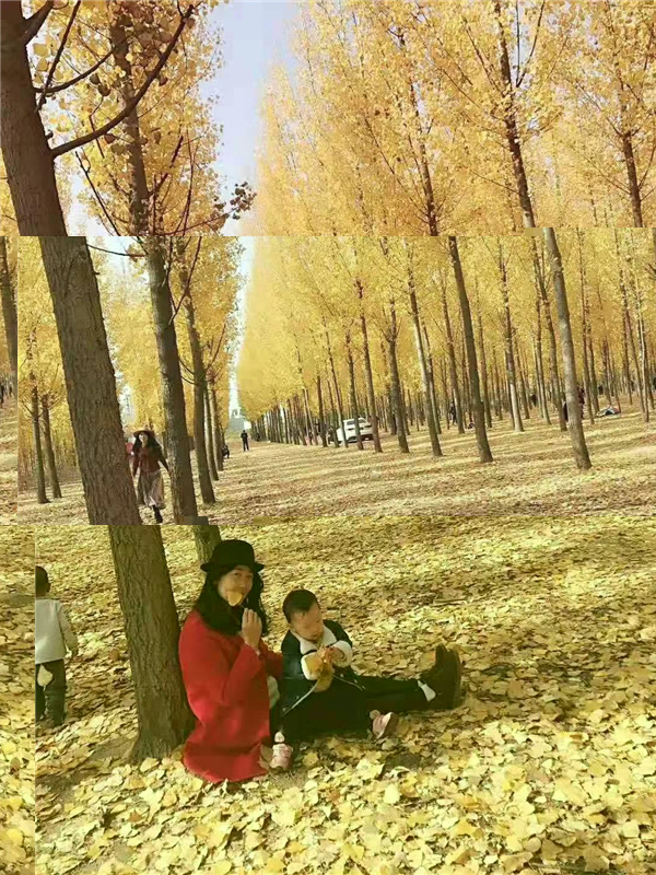 ʯ���f���A��X�W(xu��)У