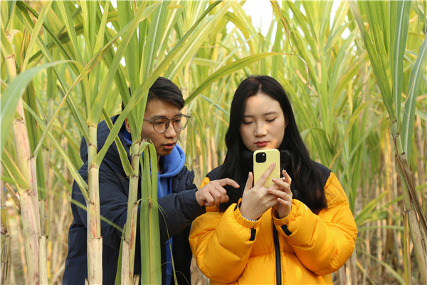 ʯ���f���A��X�WУ